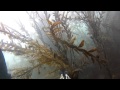 Tora spearfishing FEB 2016