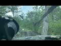 My jeep likes trees
