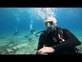 Scuba divin in Eilat 13/07/2023 - 402