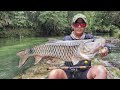 Stream Fishing Hulu Kapuas River Putussibau (Masher & Hampala) #edyfishy FishingVlog #2