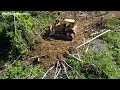 Great Project! Finally Strong CAT D6R XL Bulldozer Cleaning Land And Forest So Fast Good Working