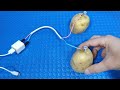 How to generate free electricity with potato (charge your phone) | Simple Tips