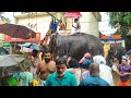 ചേട്ടാ ആ കുട ഒന്ന് തരുമോ 🌧️☂️🐘 