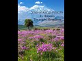 Jesus loves even me(Maram version)Maram gospel song/Kanga Priscilla/H.Hiipaila/Tonreiphi Ningshen