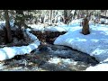 Calming Creek Sounds with Birds Chirping for Relaxation, Sleep, Study, Meditation