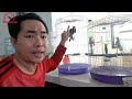 Thời Điểm Thích Hợp Dạy Nói Chim Non II The right time to teach young birds to speak@KhiNguyen Vlog