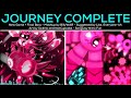 Journey Complete - New Game + Final Boss Mashup