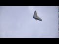 hang glider in the sky slow motion