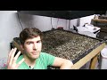 Common Reasons Your Seeds Are Not Germinating