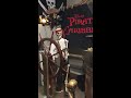 My Homemade Pirates of the Caribbean Animatronic