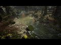 UE4 Pine Forest - Game Ready