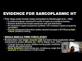 The science behind sarcoplasmic hypertrophy