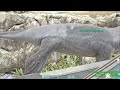 Tour of of Unfinished Jurassic Ark Episode 1