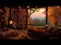 Cozy autumn sunny morning ambience with nature sounds for sleep, fall leaves & cozy treehouse