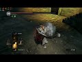 Zweihander Havel vs Havel | Dark Souls: Remastered