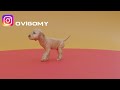 How to create a quadruped walk cycle animation for a 3d puppy | Blender Tutorial