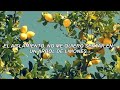 Lemon Tree - Fools Garden; Español