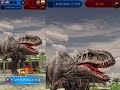 『JWA』獰猛生物の大看板ティラノメトロドン‼︎ 最強の血を引き継ぐぶっ壊れユニーク恐竜‼︎ ジュラシックワールドアライブ