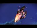 How to Find Best 3 Living Ships in No Man's Sky 2024