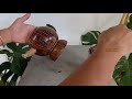 cara membuat pot dari batok kelapa||how to make a teapot from coconut shells