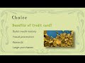 How to choose Debit vs Credit cards 💳 Personal Finance