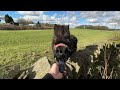 Zoom H1 Essential Field Recording Test