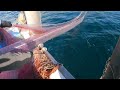 強烈な重さ❗️イカ狙いの底引網漁で網を引けないくらい重い❗️