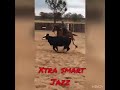Xtra Smart Jazz