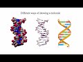 My Adventures in the Ribosome - Venki Ramakrishnan - Frontiers of Science Lecture