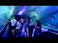 Aquaria KLCC, a world-class Aquarium that Showcases marine life  from Malaysia and around the world.