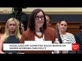 Harriet Hageman Slams Use Of Term 'Gender-Affirming Care' At Tense House Judiciary Committee Hearing