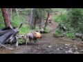 Donkey Packing - www.mountainridgegear.com