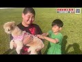 【葛藤】大好きなのに・・・飼い犬を触れない小学５年生