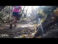 Trail Running Fun