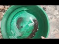 Scottish Silver and Gold Panning