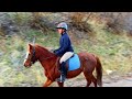 Trail Ride on a GIANT shire horse  - Apollo The Shire goes on a mountain trail ride