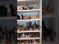 Collection tour Schleich, Breyer et Cie