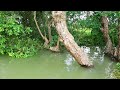 Best Relaxing and Napping Time On The Flooded Forest , Grill Fresh Fish, Hammock