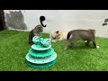 Funniest Cats and Dogs 2024 😹🐶 New Funny Animals Video 😍 Part 156