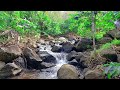 Relaxing Sound to relieve anxiety, depression, water sounds, stress relief, sleep music, meditation