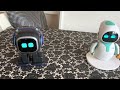 EMO und Eilik machen Quatsch - Funny Robots 🤖🤪