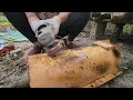 Making tools/ Genius girl repairs the soil compactor and the corn threshing machine