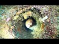 Scuba Diving Rainbow Warrior wreck, New Zealand