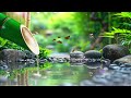 Relaxing Music for Healing | Study Piano Music, Piano For Stress Relief, Music For Study, Meditation