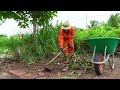 The Young Man Found it Difficult To Breathe as He Rescued The Sidewalk From The Dense Grass