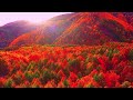 Soft Instrumental Piano Music #pianomusic #relaxingpianomusic #music #instrumentalmusic