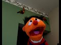 Ernie thinks your special