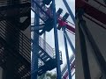 are you courageous enough to conquer Sheikra at Busch Gardens Tampa?