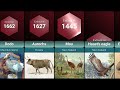 Extinct Animals Lost to History Due to Human Activity