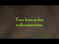 A Tree's Plea Against Firecrackers